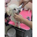 덕배쌀롱