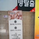 다올헤어비스