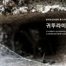 옹벽보강토블록 통기구에서 울고 있는 귀뚜라미 울음소리 이미지
