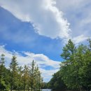 설악산자연학교 | [강원도 속초/가볼만한곳] 설악산 자생식물원 후기-아름다운 자연과 함께하는 숲속길 산책 추천