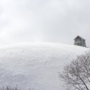 삼양목장 이미지