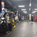 정일복싱 이미지