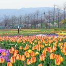 한강시민공원(자연학습장) 이미지