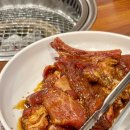 용촌들3 | 속초 돼지갈비 맛집 켄싱턴 설악밸리 근처 현지인 추천하는 고성 용촌고기집