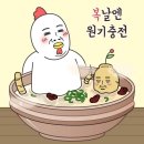 논현 용삼계탕 서울 강남 논현동 삼계탕 논현역 직장인 점심 맛집 서울 삼계탕 맛집 용삼계탕