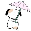 그랜드 동물병원 이미지