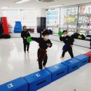 문산MTA태권도장 이미지