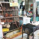 일등행정 이미지