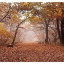 장림2동-11 이미지