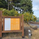 감귤박물관 | 아이랑 가기 좋은 제주도 실내 여행지, 비오는날 제주도 여행지 감귤박물관 후기