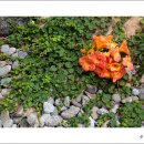 일곱실천 이미지