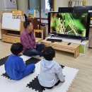 봉오초등학교병설유치원 이미지