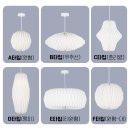 프리지아 B 이미지