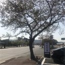 서민식당 이미지