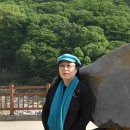 오도제 Daum카페