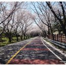 예동농장 이미지