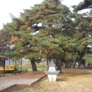 솔숲유원지 이미지