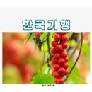 노은1길 이미지