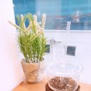 춘천-강남하이엔드 이미지