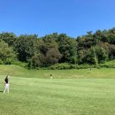 럭키 골프 클럽 이미지