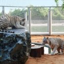 석화농장 이미지