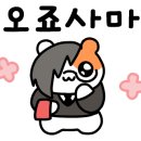 오월에요기-스튜디오