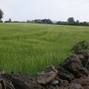 동산이마을회관 이미지