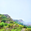 여우와늑대 이미지