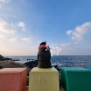 꽈배기, 제주국제공항 언니 픽업, 제주어항, 도두봉 키세스존, 도두동무지개해안도로, 숙소, 뽈살집한림점