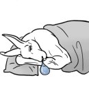 스칼렛 - 청송군 진보로 135 | 스칼렛