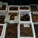 주막거리캠프 이미지