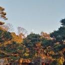 정현아카데미학원 이미지