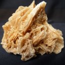 지성프린트 이미지