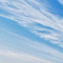 (주)비욘드코리아 이미지