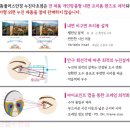 던킨도너츠행신역점