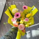 영보꽃방 - 성남시 분당구 성남대로 156 | 영보꽃방