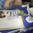 불도유치원 이미지