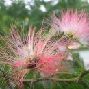 더 정감 이미지