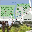 구만동 오토캠핑장 이미지