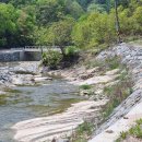 삼거리천 이미지