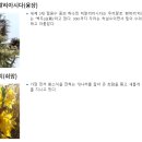 진영제일고등학교 이미지