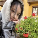 (주)오렌지서비스 스포츠조선