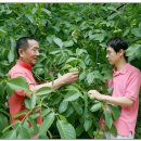 김현규농장 이미지