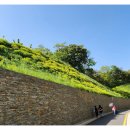 봉화산로45길 이미지