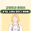 경기도 수원시 장안구 정자동 교정치과 총정리