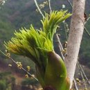 참솔에너지 이미지