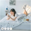 이불 속 댕댕이 | 바자르 냉감 이불 써보니 삶의 질 수직상승! 꿀잠 보장 여름 아이템