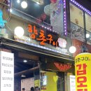 향촌 | 행궁동 제철 갑오징어 맛집 내돈내산 향촌구이 후기