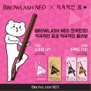 초이래쉬