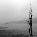 나란히 흐르다 이미지